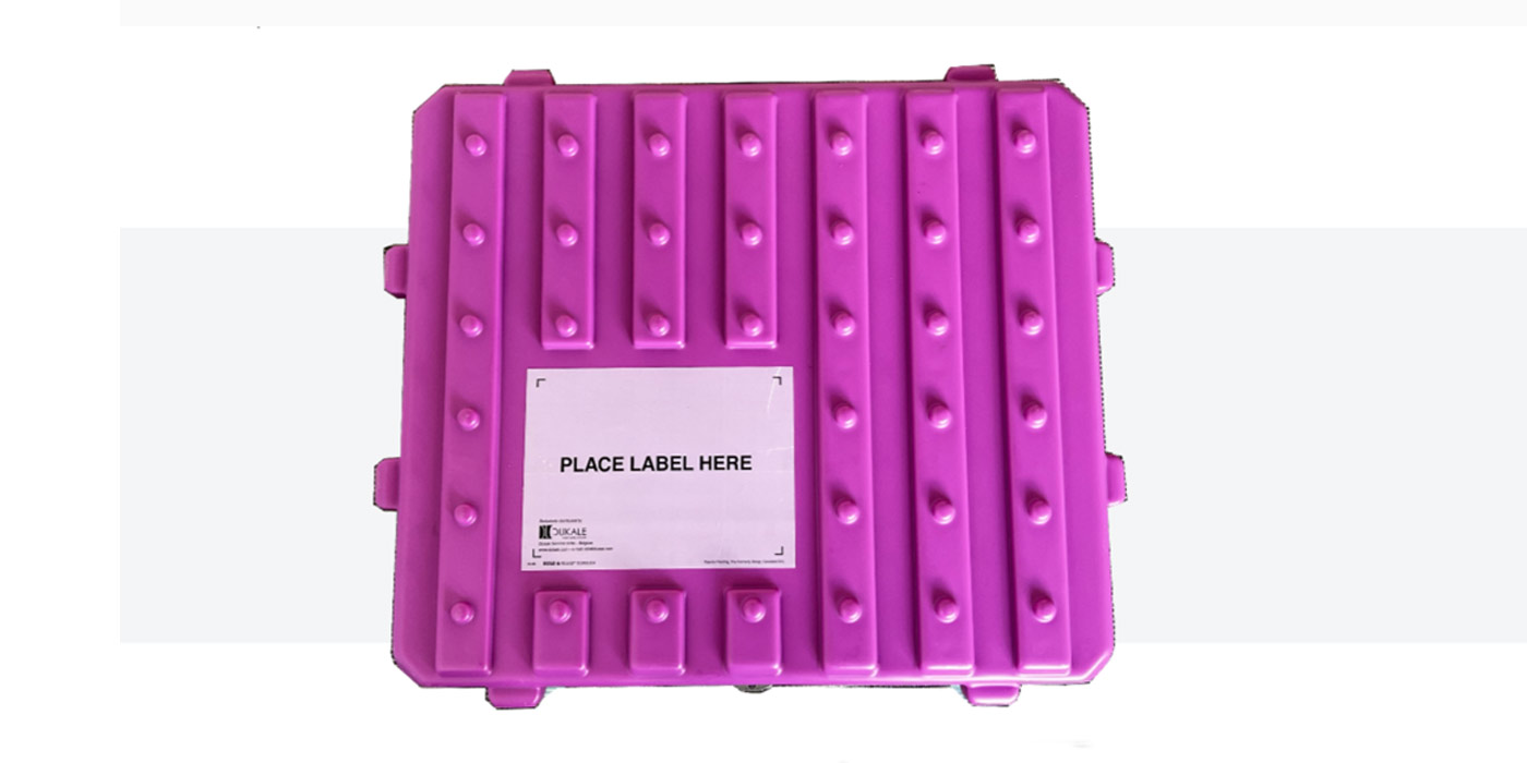 seedalive | Keimfähigkeit testen