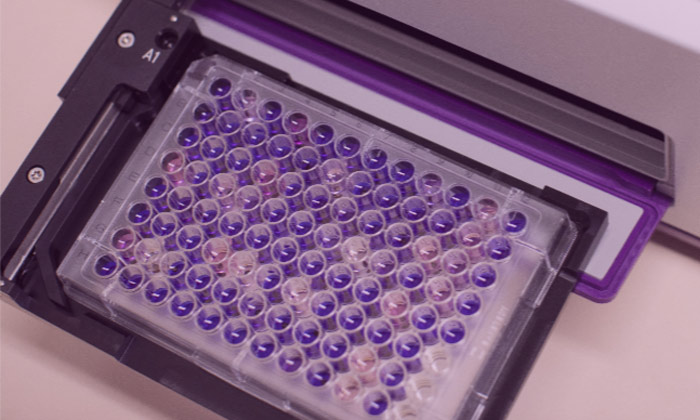 seedalive | Keimfähigkeit testen